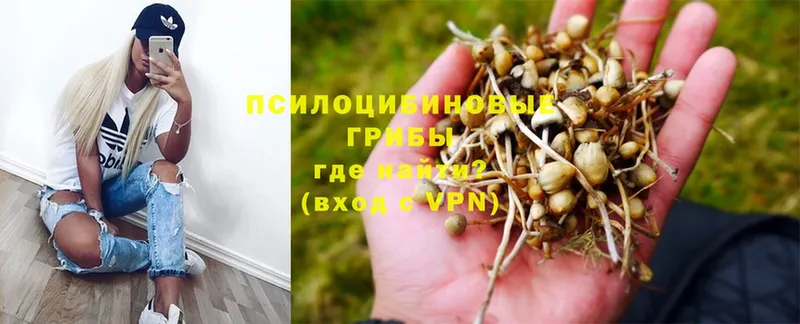 Галлюциногенные грибы MAGIC MUSHROOMS  MEGA как зайти  Краснообск  цена  